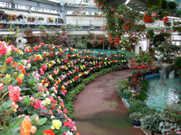 花と泉の公園